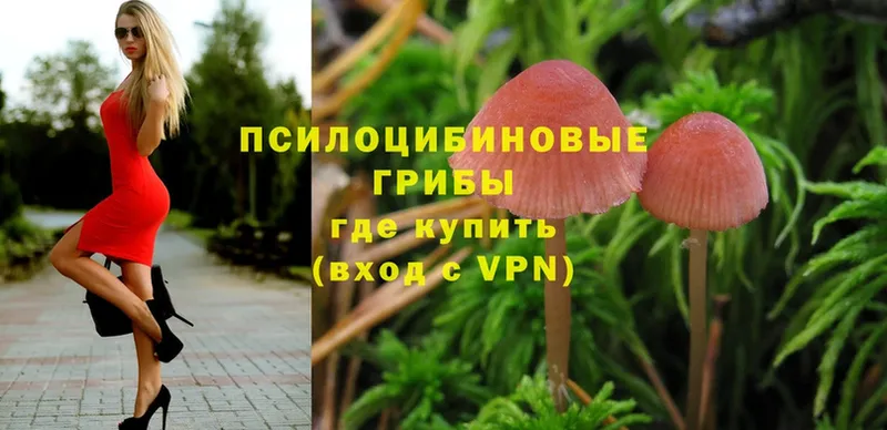 Псилоцибиновые грибы MAGIC MUSHROOMS  Черногорск 